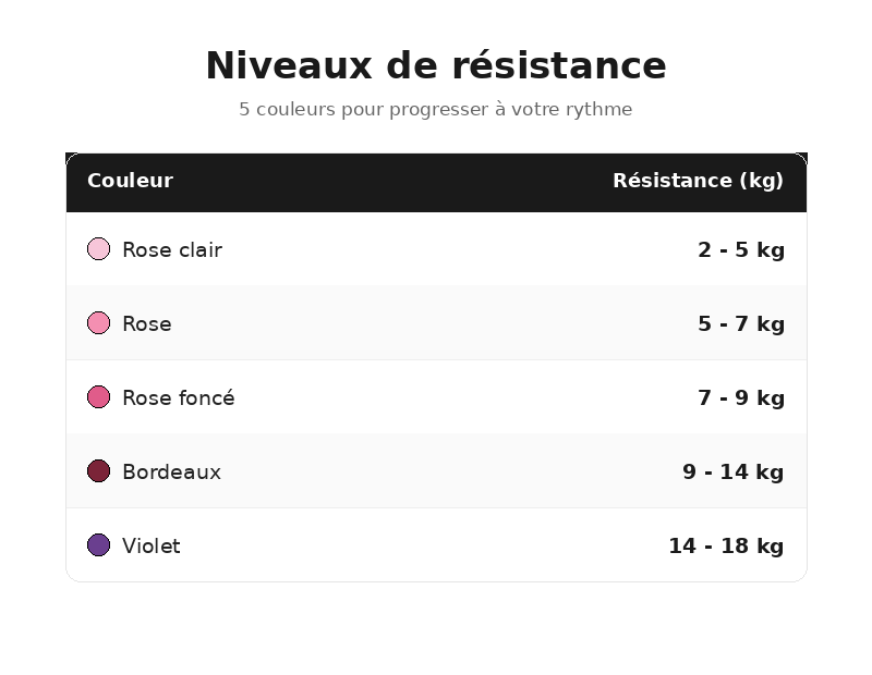 Bandes de Résistance Élastiques - Kit Multi-Niveaux